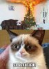 grumpy_cat_christmas.jpg
