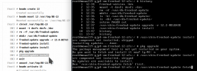 chroot, freebsd-update fetch, as instructed.png