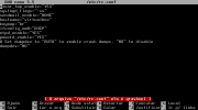 VirtualBox_FreeBSD 13_01_06_2021_00_36_21.png