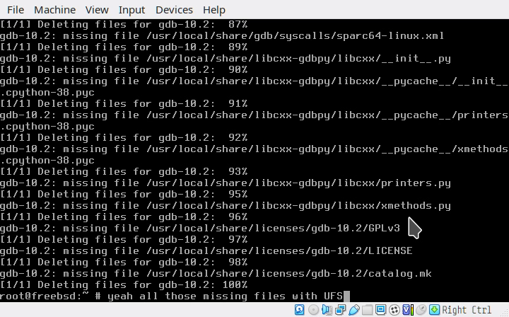 06:55 pkg remove gdb, missing files.png
