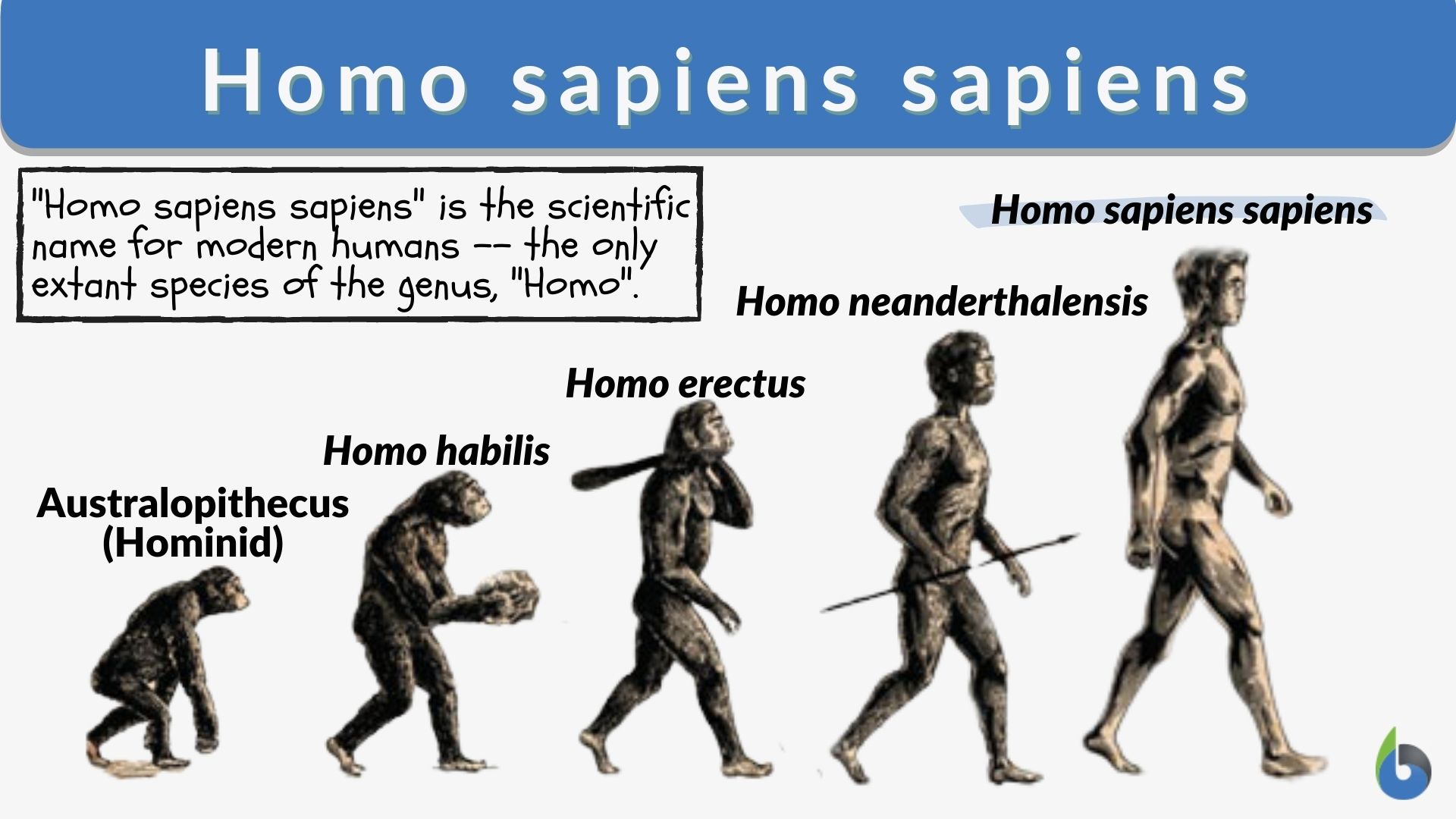 1753266259245.png