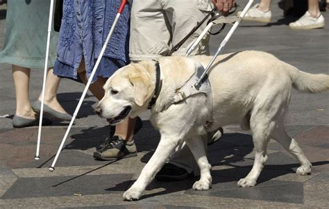 1783421848832.png