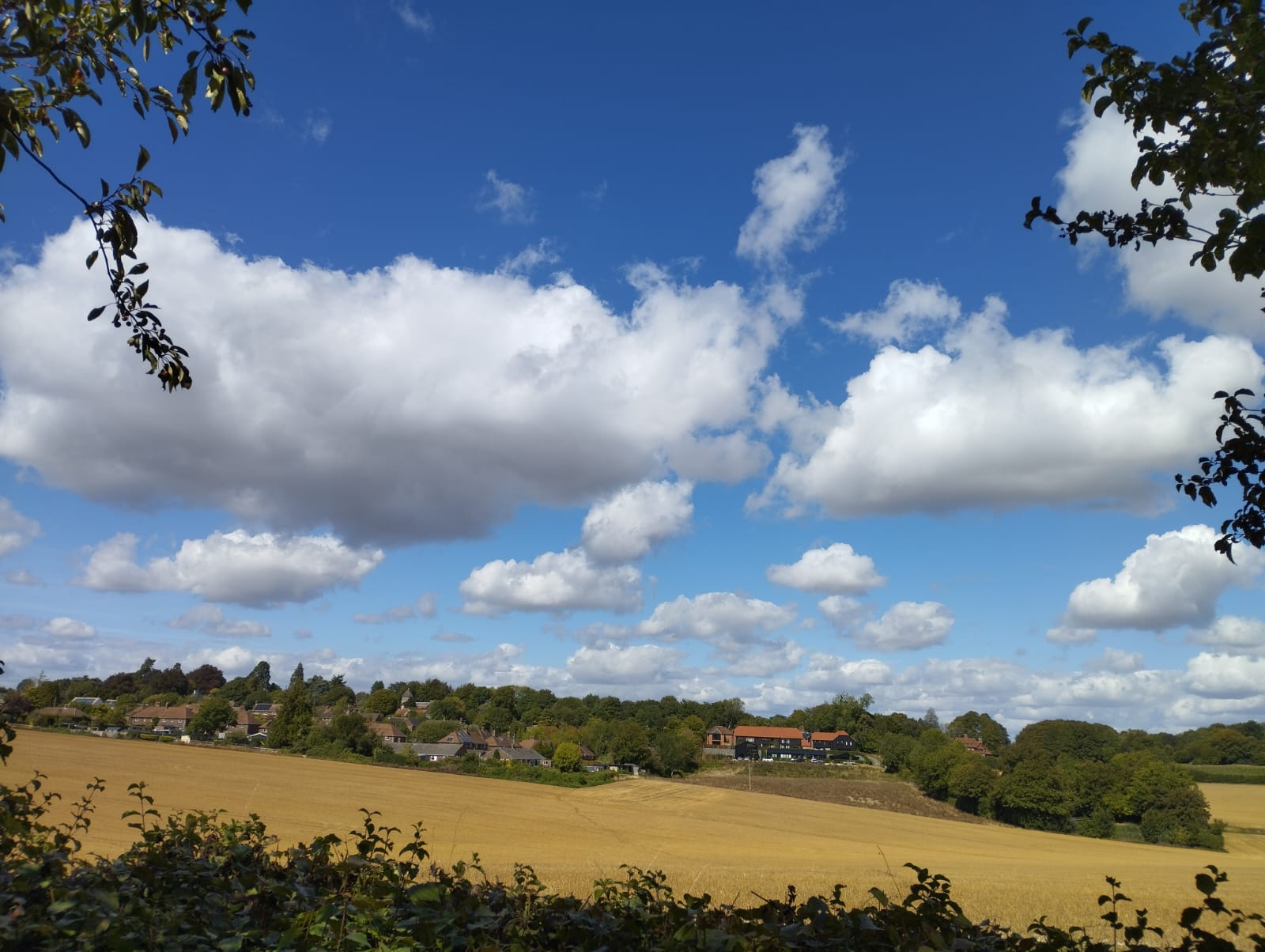 bluesky.jpeg