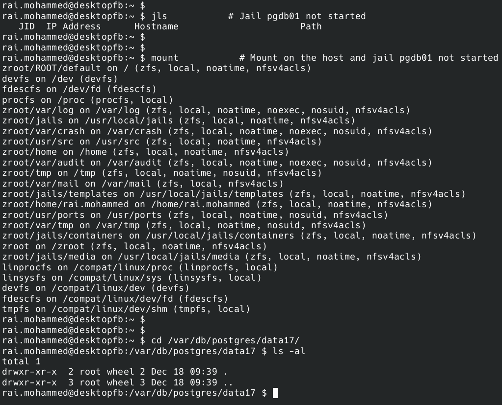 C01 - Freebsd 14-2 Jail - Mount on the host and Jail pgdb01 not started.png