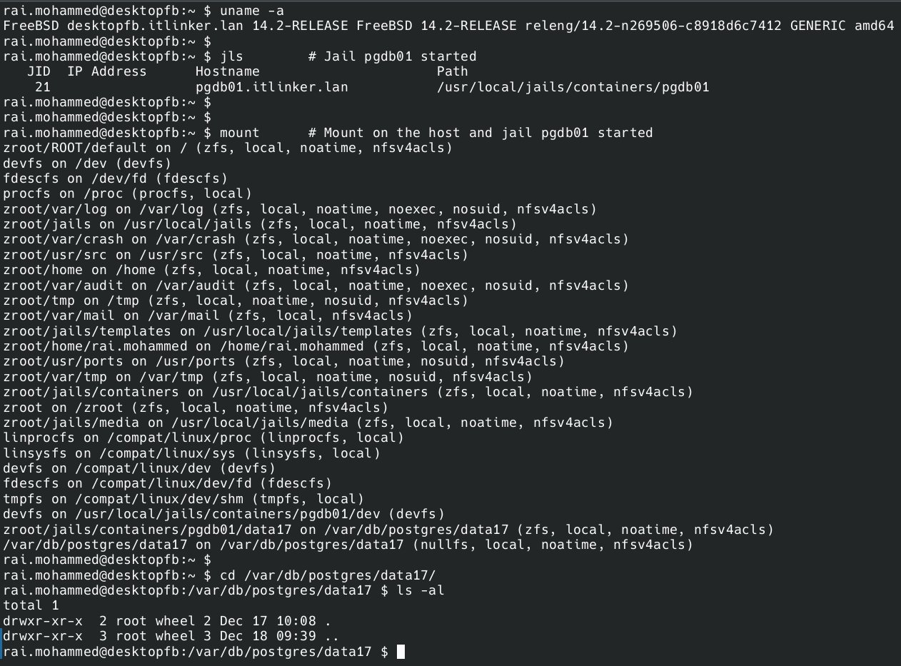 C03 - Freebsd 14-2 Jail - Mount on the host and Jail pgdb01 started.png