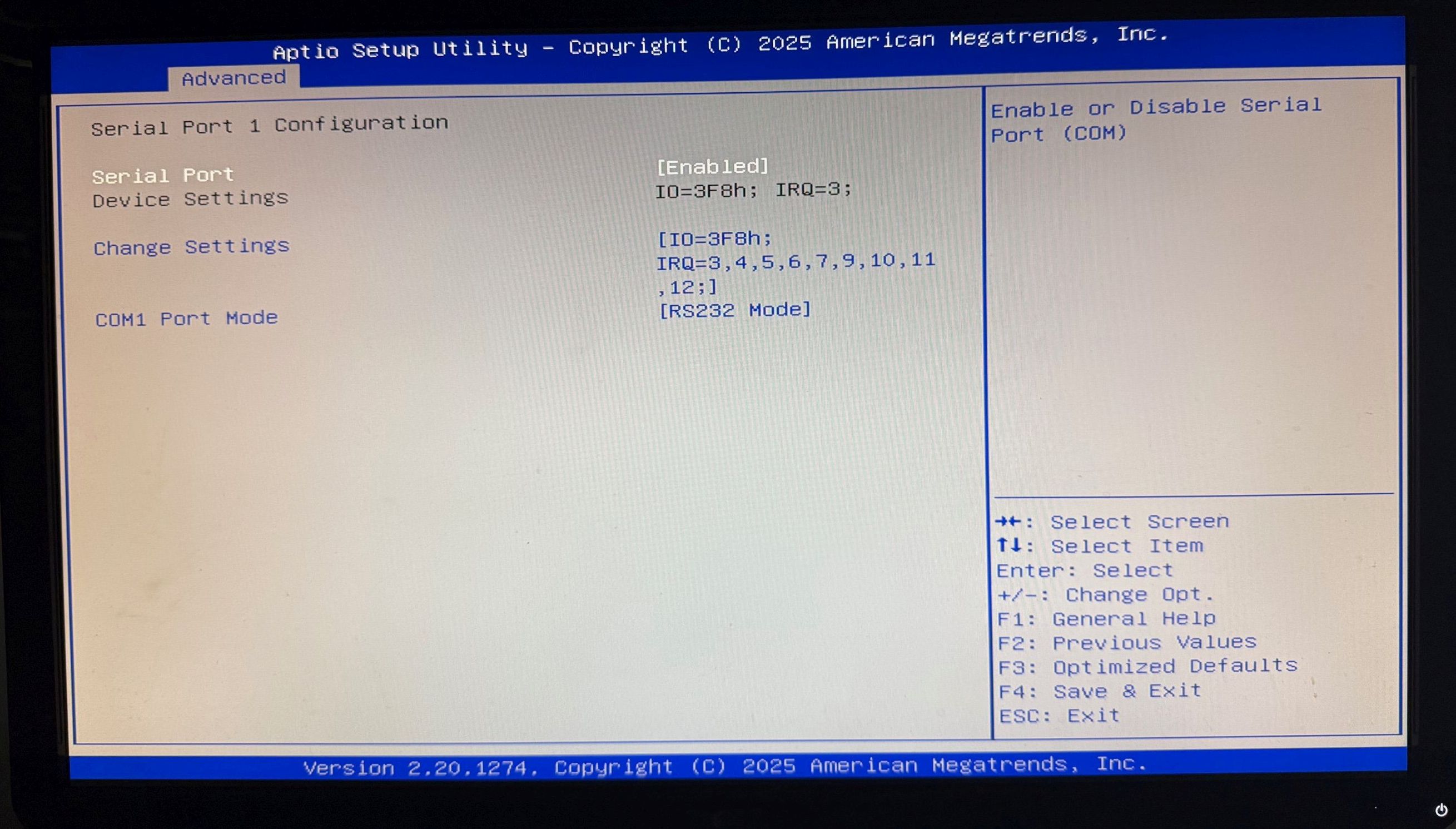 com1 bios settings.jpg
