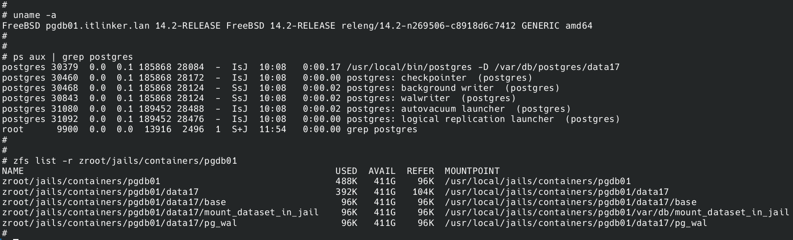 D02 - Freebsd 14-2 Jail - Datasets on the  Jail pgdb01 and PostgreSQL started.png