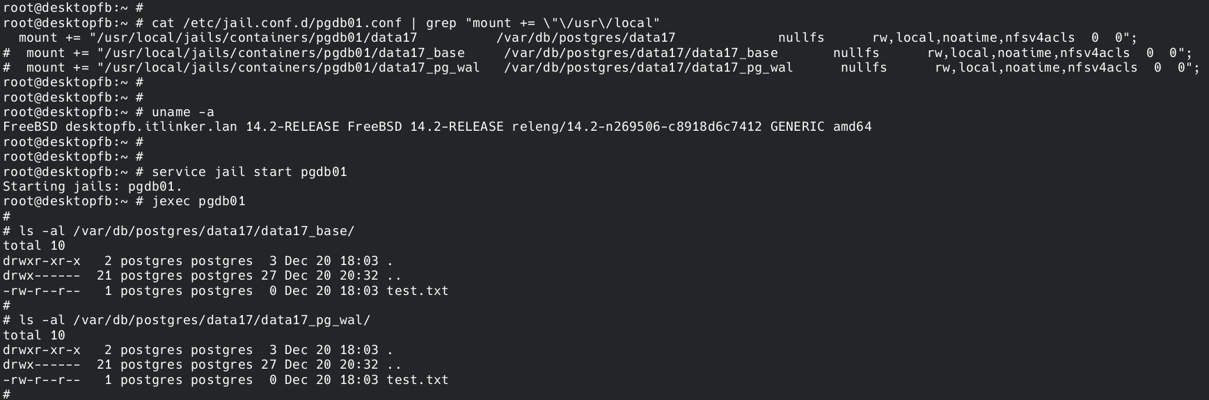 E02 - Starting jail - after disabling the mount points in PostgreSQL jail config file.png