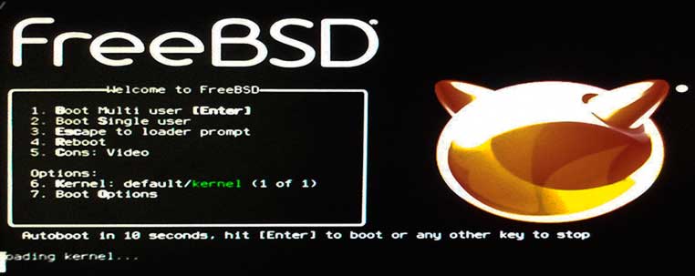 freebsd-boot-logo.jpg