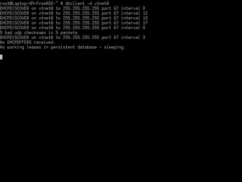 FreeBSD-dhclient.png