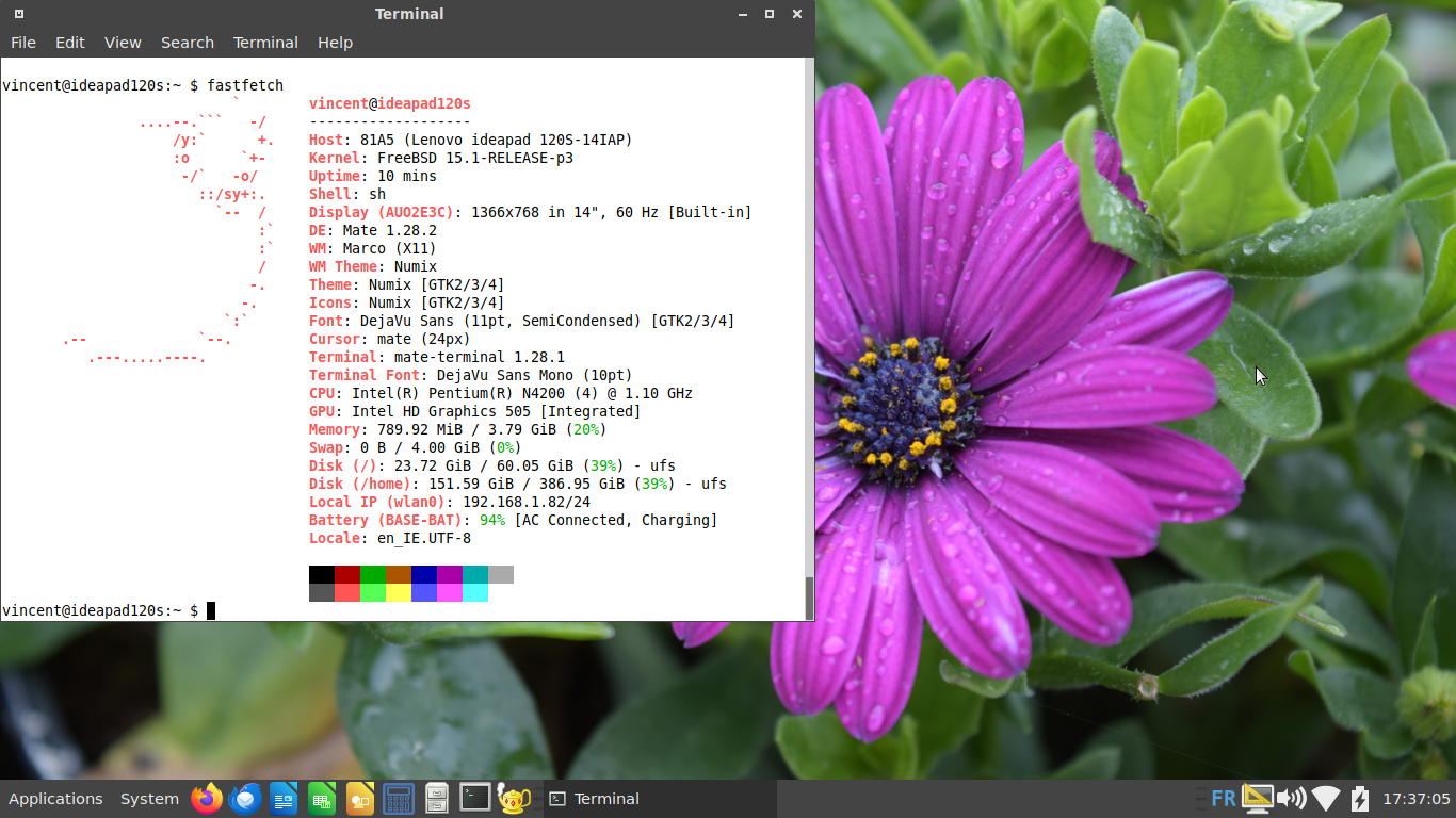freebsd.png