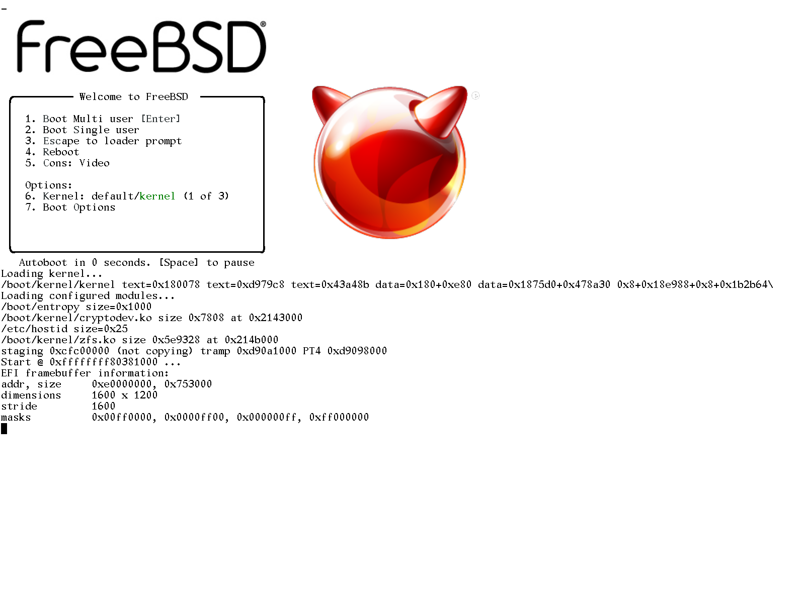 FreeBSD-white_1.png