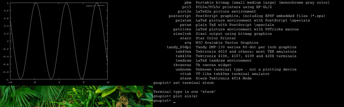gnuplot.jpg