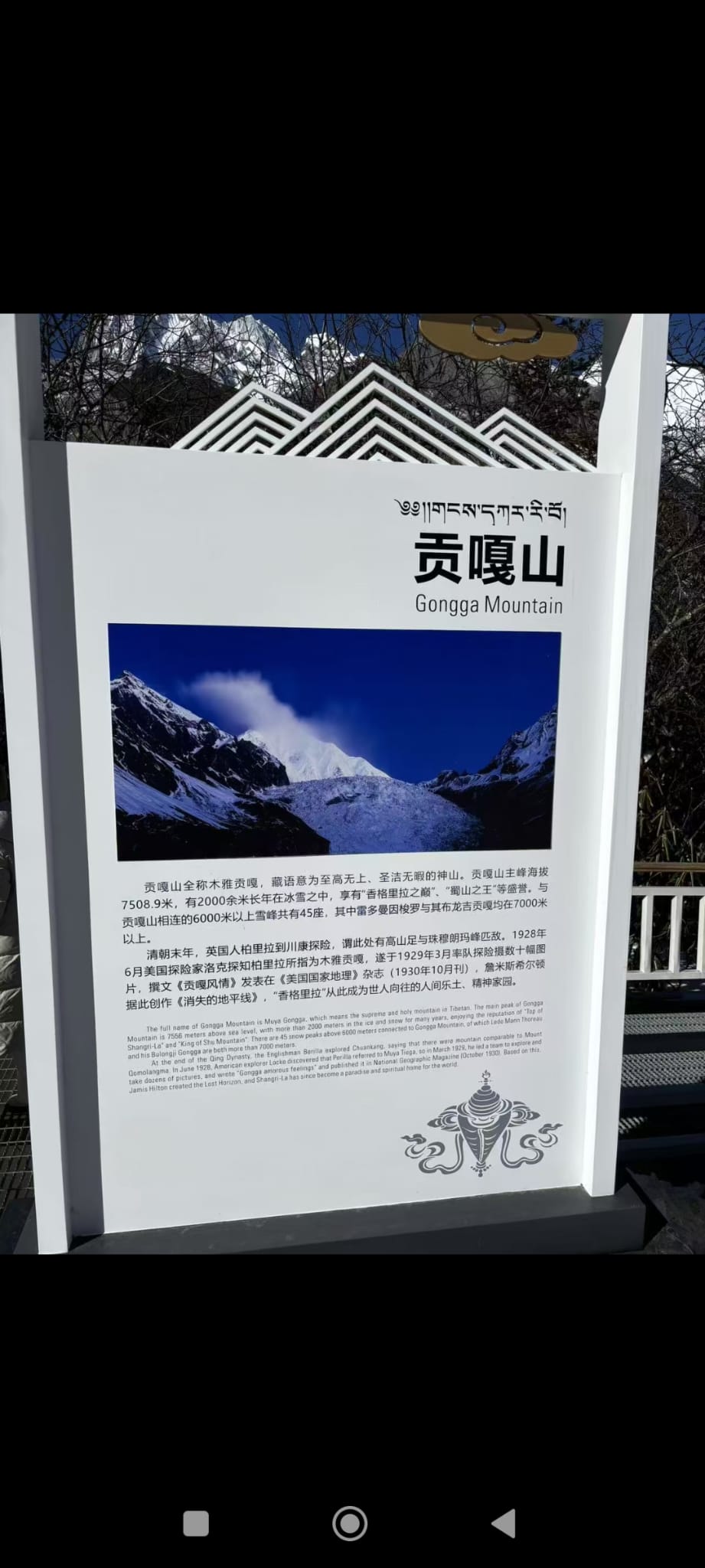 IMG-20250714-WA0008.jpg