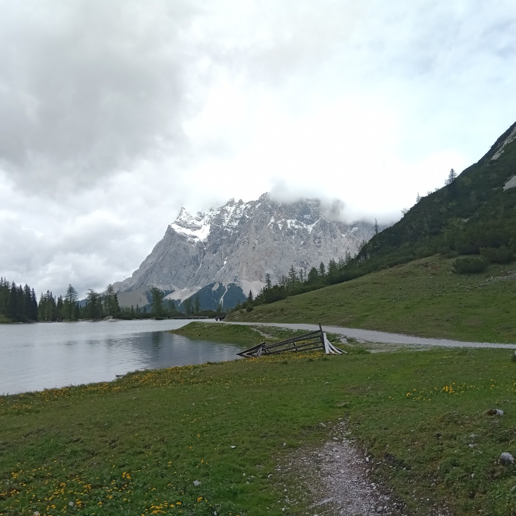 IMG_20250529_144403_90.jpg