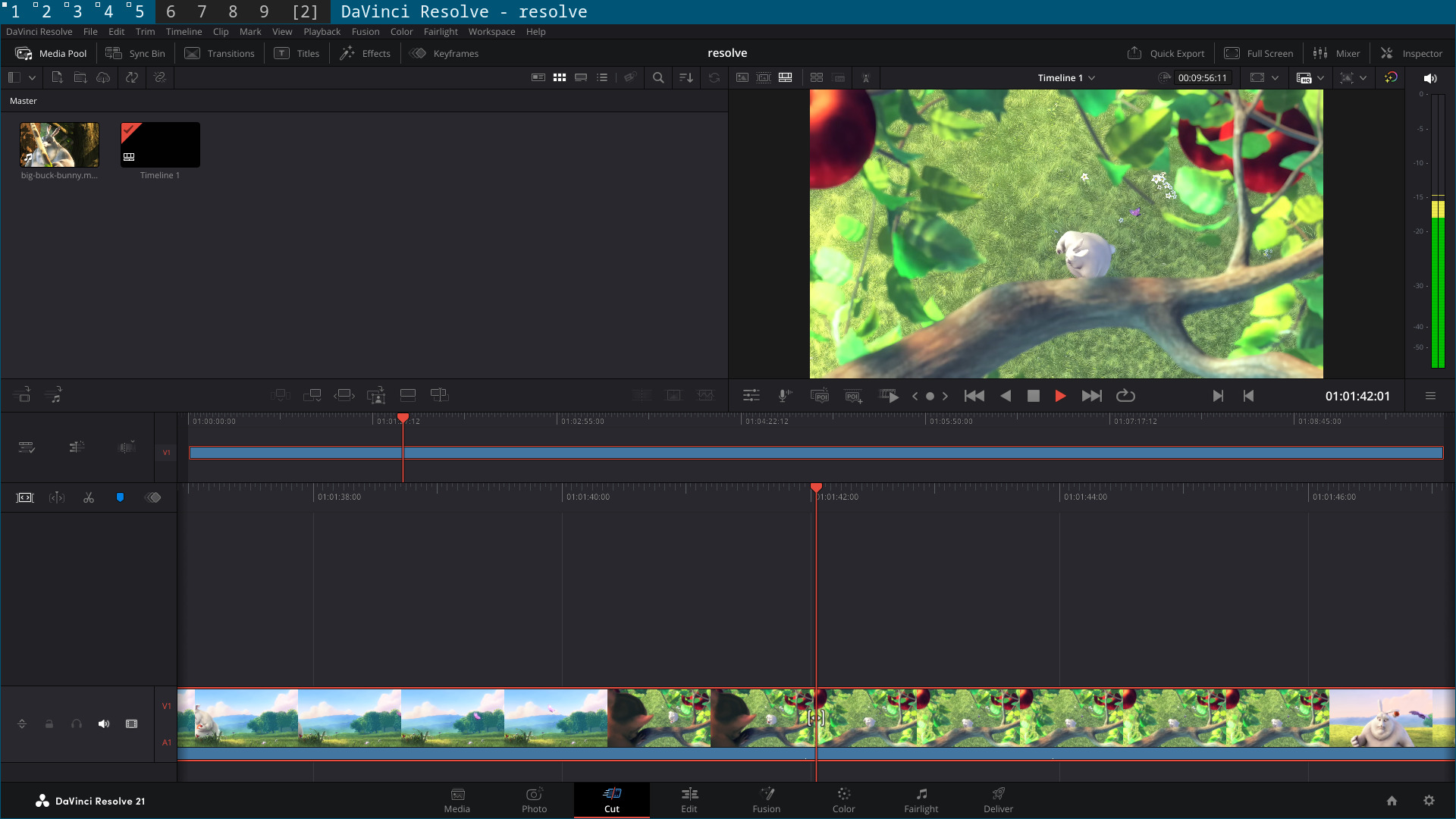 resolve1.jpg