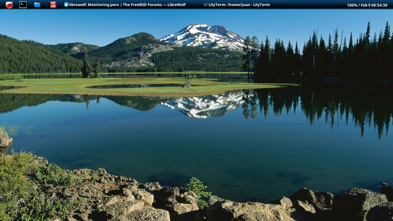 Screenshot from 2026-02-09 06-54-56.png