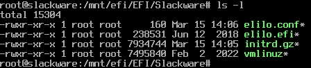 screenshot-slackware-efi-partition.png