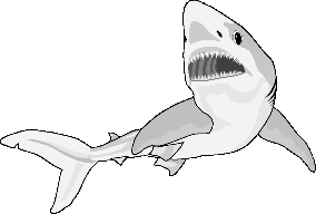 shark_284_192.gif