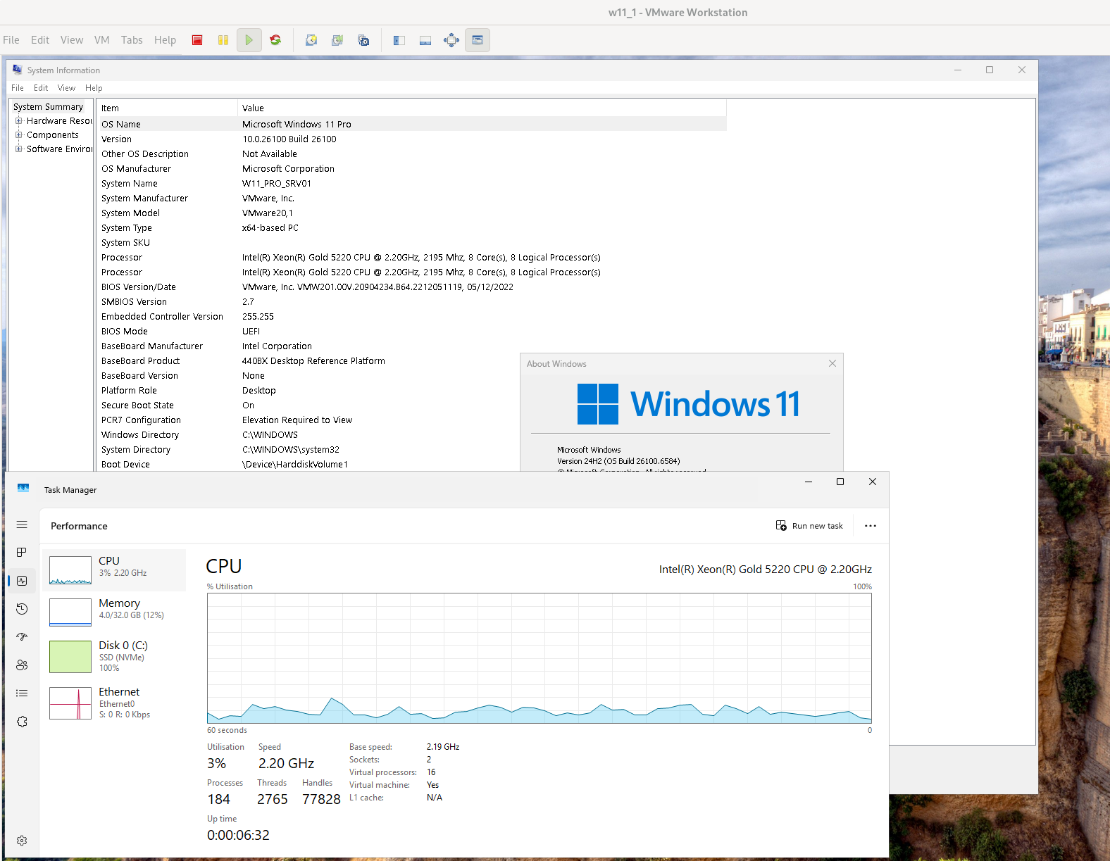 w11_on_vmware_debian12.png
