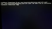 IMG_4375.jpeg