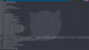 1722529894373.png