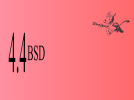 BSD44WALL.png