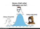 programmerhumor-io-debugging-memes-programming-memes-b732cd8ea00bd7d-406124875.jpg