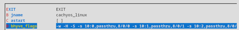 Bhyve_Flags_Passthru.png