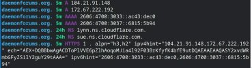 daemonforums-down-q-dns.jpg
