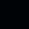 sic_101