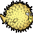 eincello