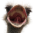 MicFro